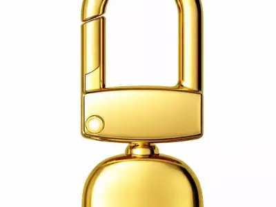 Luxury Metal Bag 3D print model