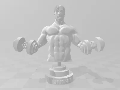 No Pain No Gain 3D print model