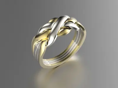 Jewelry Fashion Gold Puzzle Ring 0071 Set of Sizes Stl 3dm Fbx 3D print model
