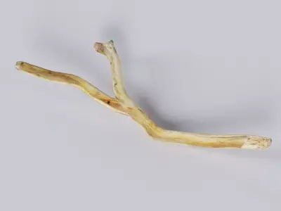 Wooden Stick - Single 3d Dry Low Poly and Game Ready Low-poly 3D model