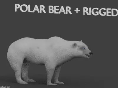polar bear 3D model