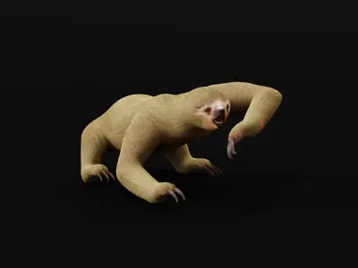 Two Toed Sloth Low-poly 3D model