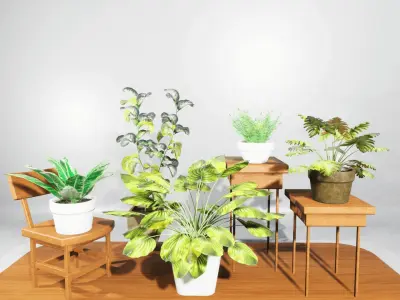 House Plants Collection Low-poly 3D model
