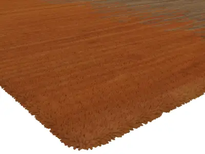 Rug Set 303 3D model