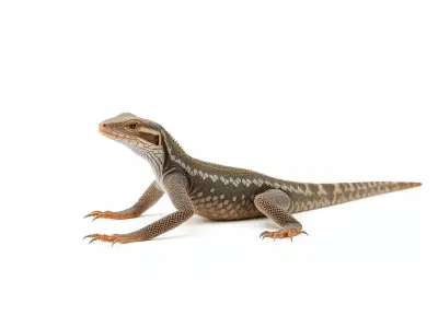 Spotted Lizard Creature model pack Low-poly 3D model