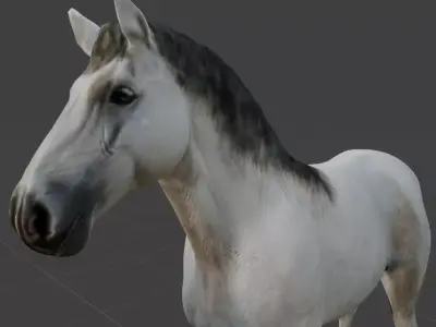 Rigged and animated white horse Low-poly 3D model
