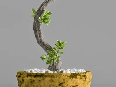 miniature plant 146 3D model