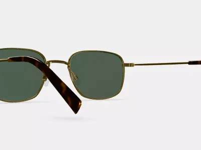 Blount Sunglasses in Polished Gold 3D model