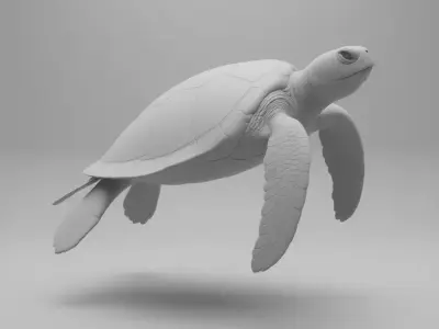 Sea Turtle Graceful Marine Reptile Animal Underwater Aqua Low-poly 3D model