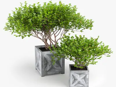 Tropical bush Low-poly 3D model