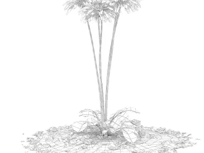 Ornamental Grass 3 3D model