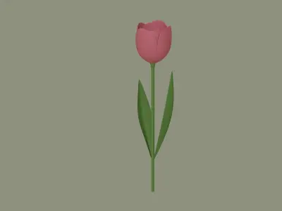 Tulip 3D model