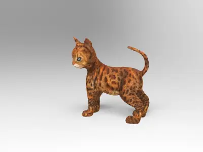 Cute Cat Rigged Low-poly 3D model