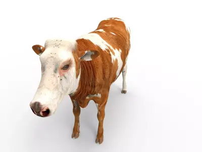 Cow game ready Low-poly 3D model