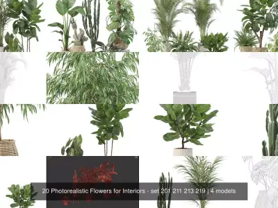 20 Photorealistic Flowers for Interiors - set 201 211 213 219 3D Model Collection