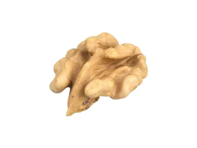 Photorealistic Walnut Kernel 3D Scan 3D model