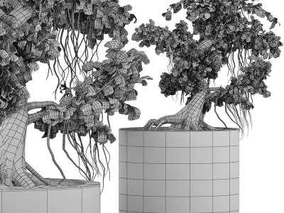 Plants Collection 122 Bonsai 3D model