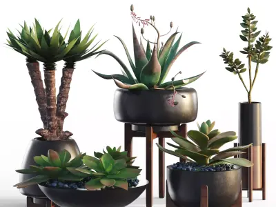 Plants collection 12 3D model