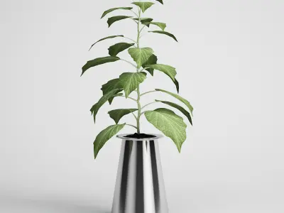 CGAXIS plants collection volume 1 3D model