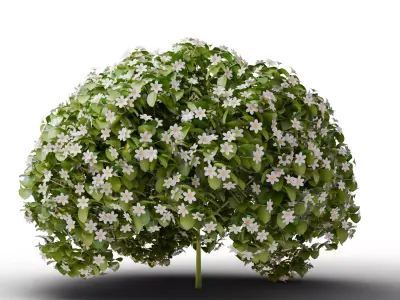 Mega 3D Flower Collection v1 Low-poly 3D model