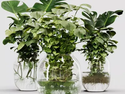 Indoor Plant Set 02 ivy in jar 3D model