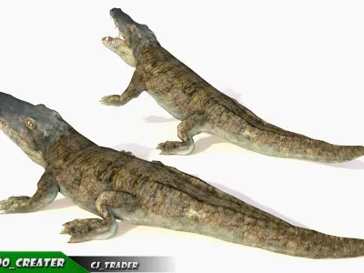 Crocodile Rig Animated LowPoly 3d model Low-poly 3D model