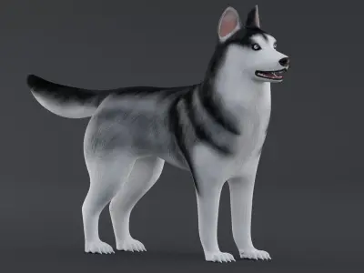 Dog Siberian Husky Low Poly Model Game AR VR Low-poly 3D model