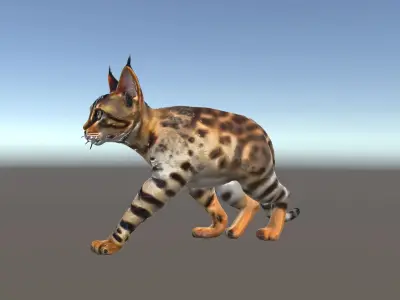 Realistic Bengal Cat Model Pack for D Rendering and Games Low-poly 3D model