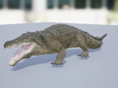 Saltwater Crocodile Low-poly 3D model