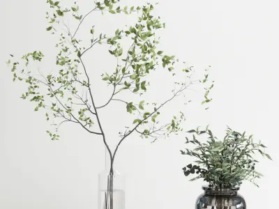 collection Plants Bouquet Indoor glass vase 07 3D model