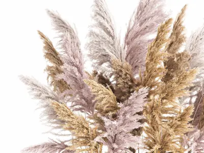 Decorative Bouquet of dried pampas grass 190 3D model