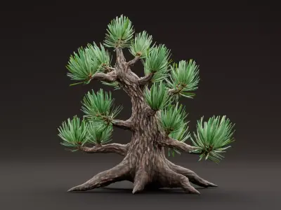 Stylized Pine Bonsai Tree Low-poly 3D model