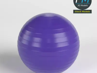 Fitball exercise ball 3D model