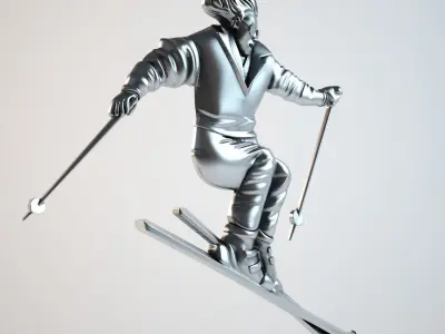 bas skier 3D print model