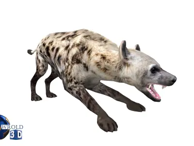 Lowpoly hyena rigged animated 3d model Low-poly 3D model