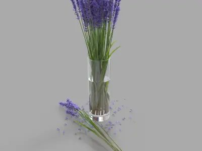 The bouquet of lavender in a vase 3D model