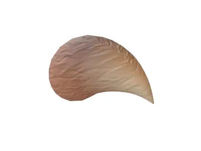 Fox Tail v1 002 Low-poly 3D model