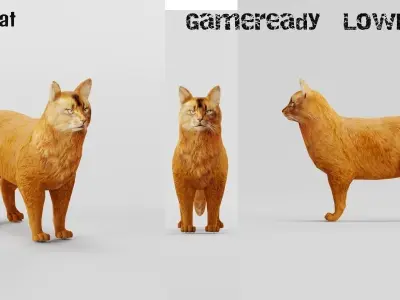 Somali Cat Animal Low-poly 3D model