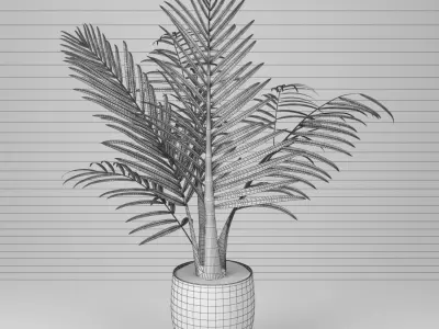 palm plant 3D model
