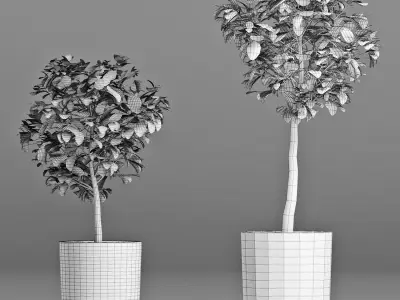 Plants Collection 145 Sageretia Theezans 3D model