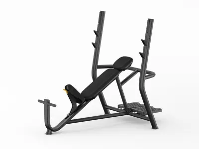 Technogym Element Inclined Weight Bench 3D model
