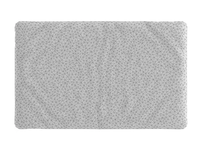 Small Rectangular Fluffy Rug 3D model
