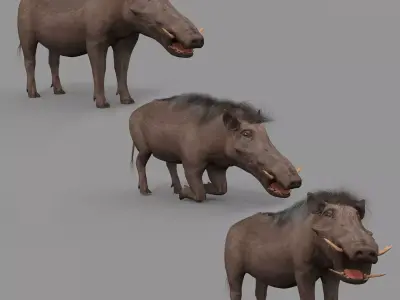 Warthog African pig - animated 3d fur model Low-poly 3D model