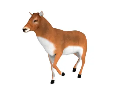 Deer Rigged and Animated 3D model