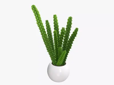 Potted plant decorative 07 3D model