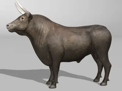Bull - Rigged 3D model