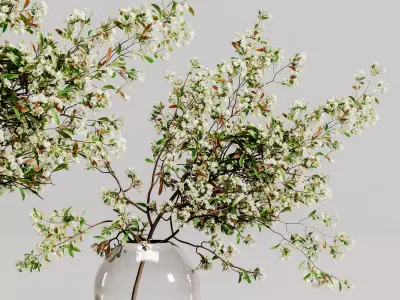 plants bouquet vase 56 3D model