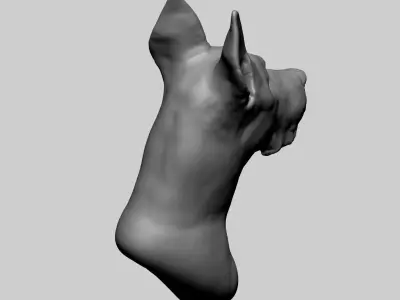 Dog Bust 3D model