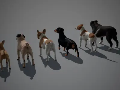 Companion Dog Pack Low-poly 3D model