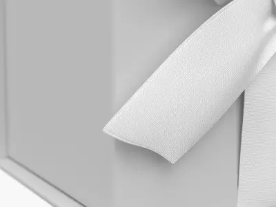 Hallmark Ribbon and Paper Fill Small Gift Lid White Box with Bow 3D model